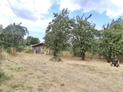 Picture 20